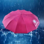 BMW Umbrella 12 Ribs, 3:2( Auto ON+OFF )